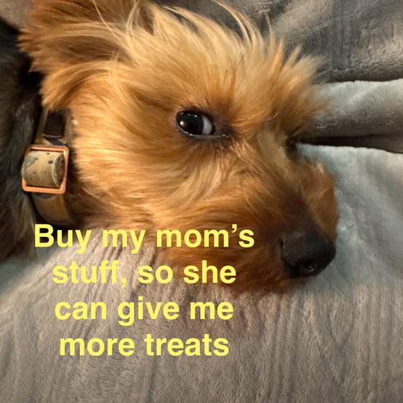 Meet your Posher, Mikayla - Picture 2 of 3